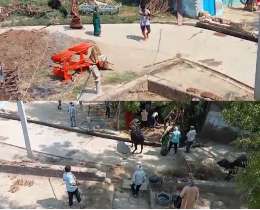 मुरैना में खूनी खेल, जमीनी विवाद में चली गोलियां, 3 महिलाओं सहित 6 की मौत, पुलिस छावनी बना गांव
