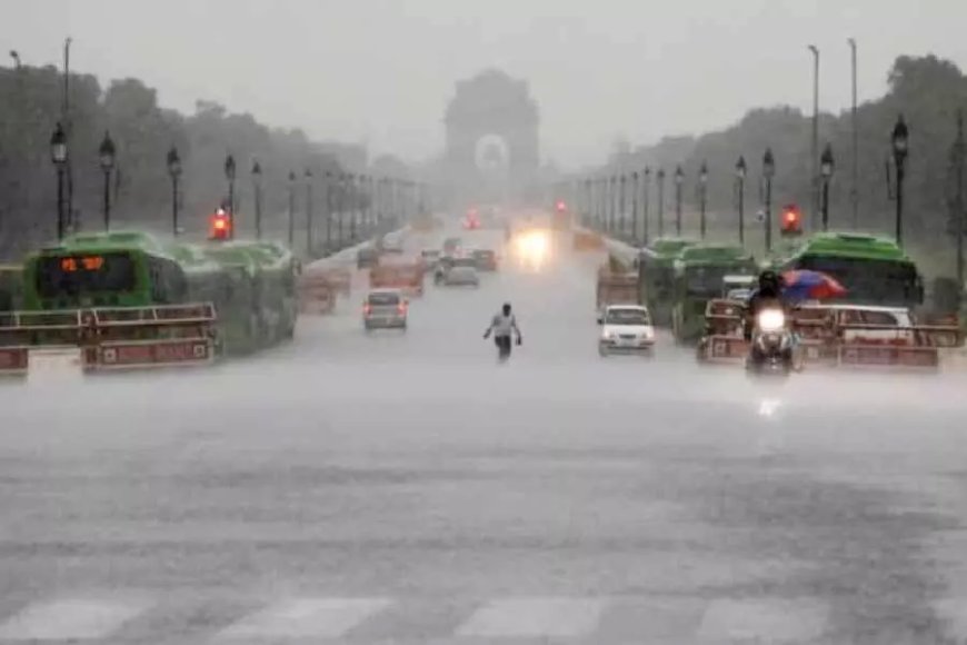 दिल्ली में 1982 के बाद से जुलाई में एक दिन में सर्वाधिक बारिश दर्ज की गई : आईएमडी
