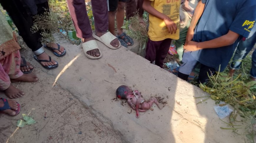 कन्या भ्रूण मिलने से सनसनी:लगी भीड़