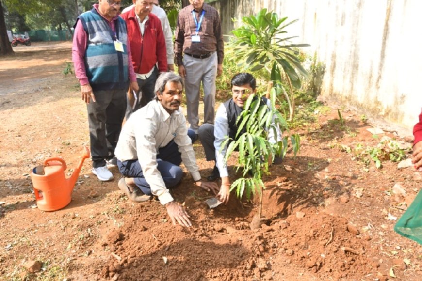 कलेक्टर द्वारा किया मतदान उपस्थित मतदाताओं को तुलसी का पौधा भेंटकर किया पौधरोपण