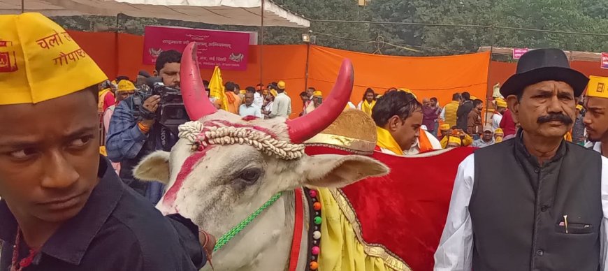 গরুকে জাতির মাতার মর্যাদা দেওয়ার দাবিতে রামলীলা ময়দানে সমাবেশ