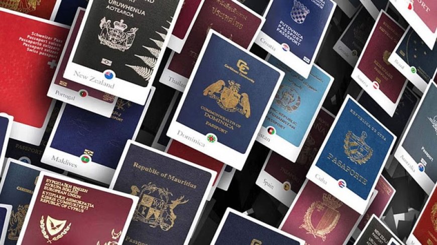 दुनिया के सबसे ताकतवर पासपोर्ट में पहले नंबर पर छह देश
