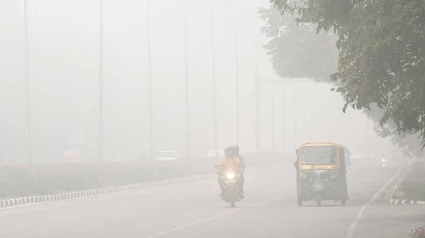 तीन डिग्री से नीचे गिरा पारा, चार दिन घने कोहरे का अलर्ट