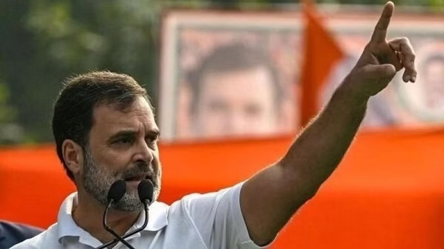 'भाजपा आपको जंगलों तक सीमित रखना चाहती है' : राहुल गांधी