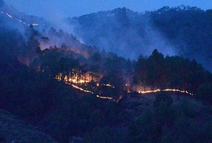 उत्तराखंड-हिमाचल के पहाड़ों से बर्फ गायब, हसीन वादियों में सात गुना बढ़ीं आग की घटनाएं