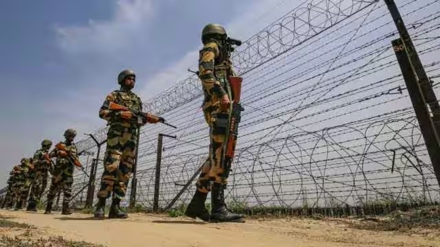 दीनानगर में सीमा पर BSF ने पाकिस्तानी घुसपैठिए को किया गिरफ्तार