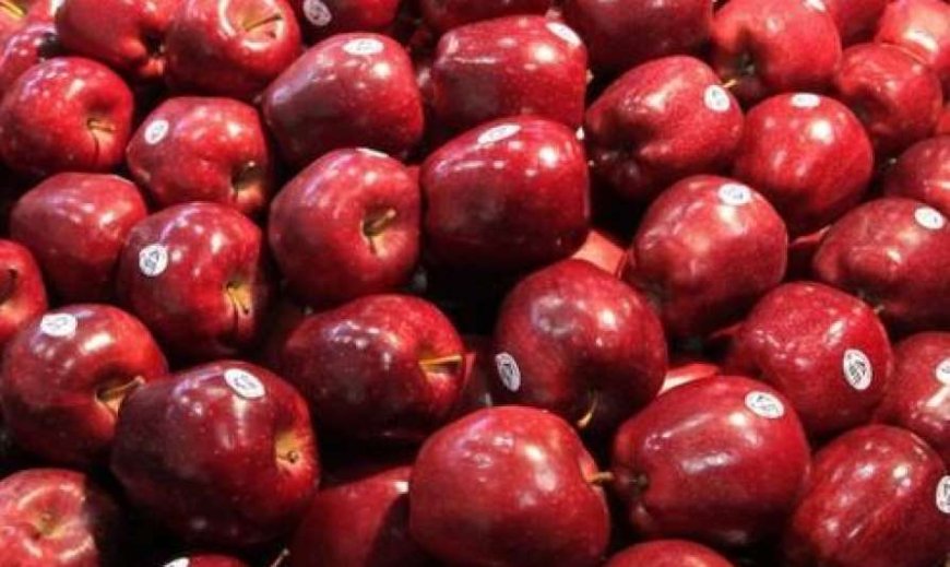 30 देशों से भारत पहुंचा 2 करोड़ पेटी सेब