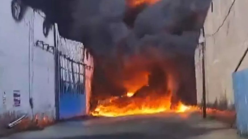 दिल्ली के अलीपुर में एक फैक्ट्री में लगी भीषण आग