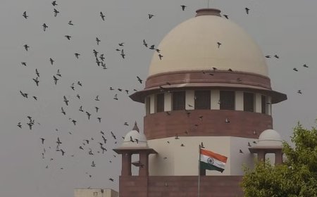 एलजी के अधिकारों को चुनौती देने वाले सात केस वापस लेगी दिल्ली सरकार, सुप्रीम कोर्ट में सुनवाई आज