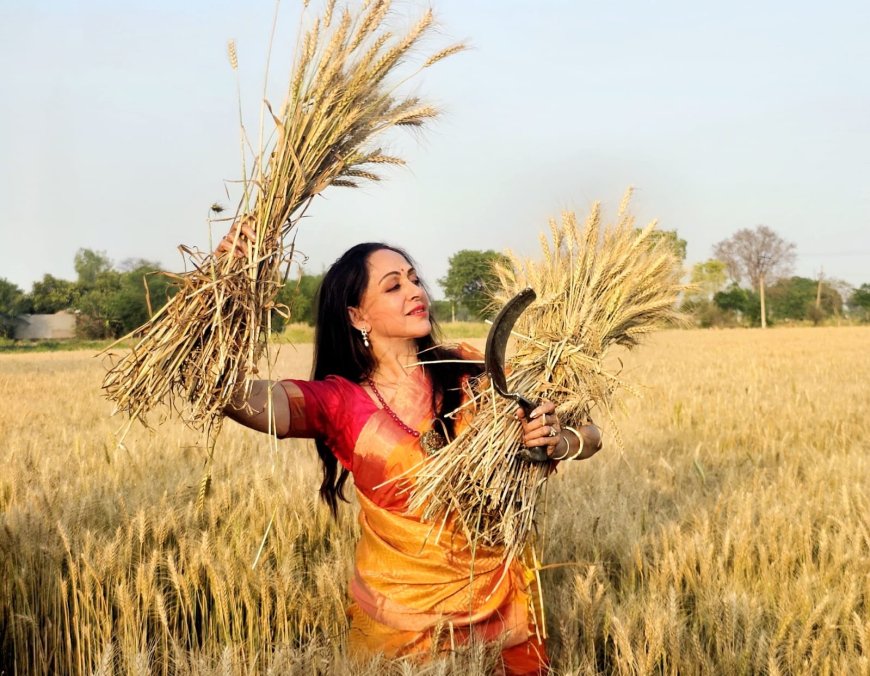 शक्ति का रूप धरे खेतों में नजर आईं हेमा मालिनी, महिला किसानों के साथ काटी गेहूं की फसल