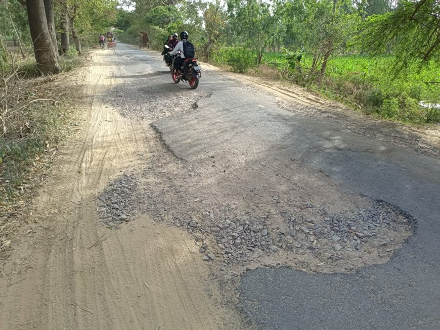 प्रधानमंत्री ग्राम सड़क योजना से बनी सड़क गड्ढों में तब्दील, राहगीर परेशान
