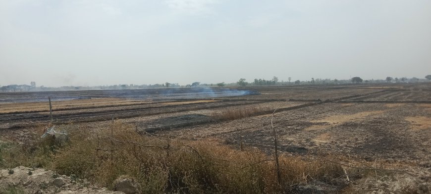 शार्ट सर्किट से लगी आग ने मचाया तांडव रौद्र रूप देख कर कांपे किसान