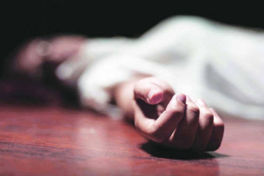 MARRIED WOMAN COMMITS SUICIDE IN THE VILLAGE OF ROHTAS DISTRICT