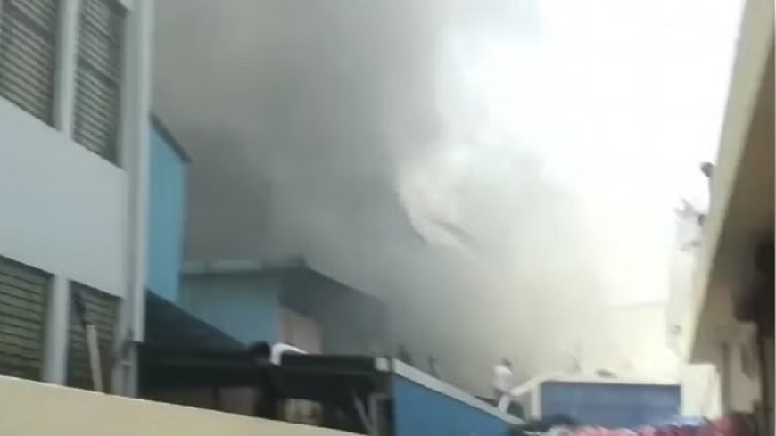 हरियाणा: दो फुटवियर कंपनियों में लगी भीषण आग