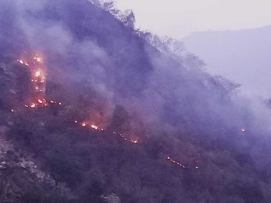 वनाग्नि की चपेट में आने से बुरी तरह झुलसी बुजुर्ग महिला