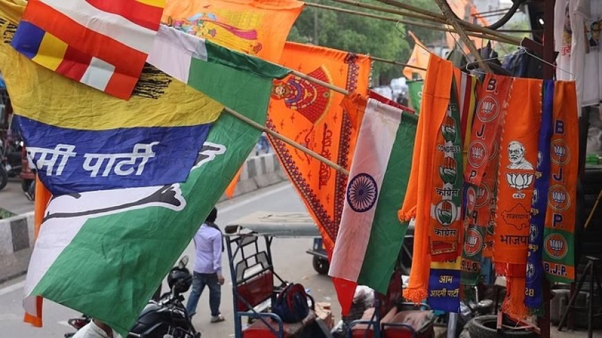 चुनाव प्रचार के लिए दिल्ली में ईको फ्रेंडली झंडों का इस्तेमाल