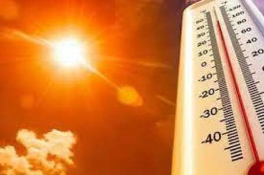 गर्मी से 85 फीसदी मौतें बढ़ीं, गर्मी से मरने वालों का पोस्टमॉर्टम जरूरी नहीं