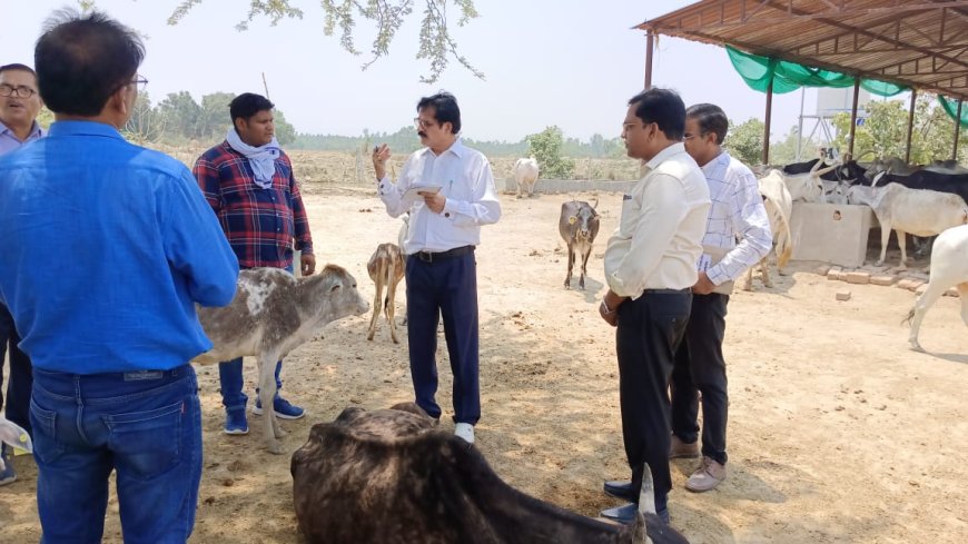 अपर निदेशक ने किया वृहद गौशाला का निरीक्षण