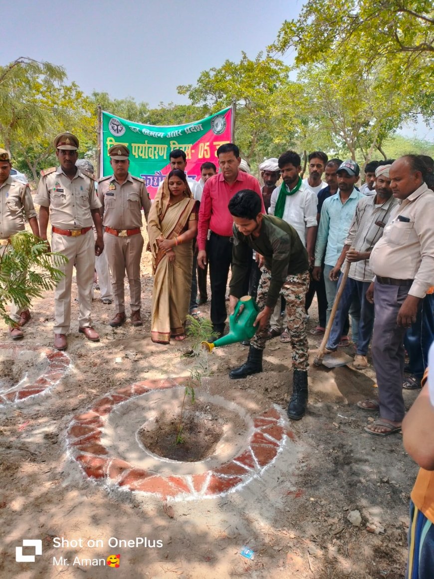 विभिन्न सामाजिक संगठनों द्वारा व सरकारी कार्यालयों में वृक्षारोपण कर पर्यावरण की रक्षा का किया संकल्प
