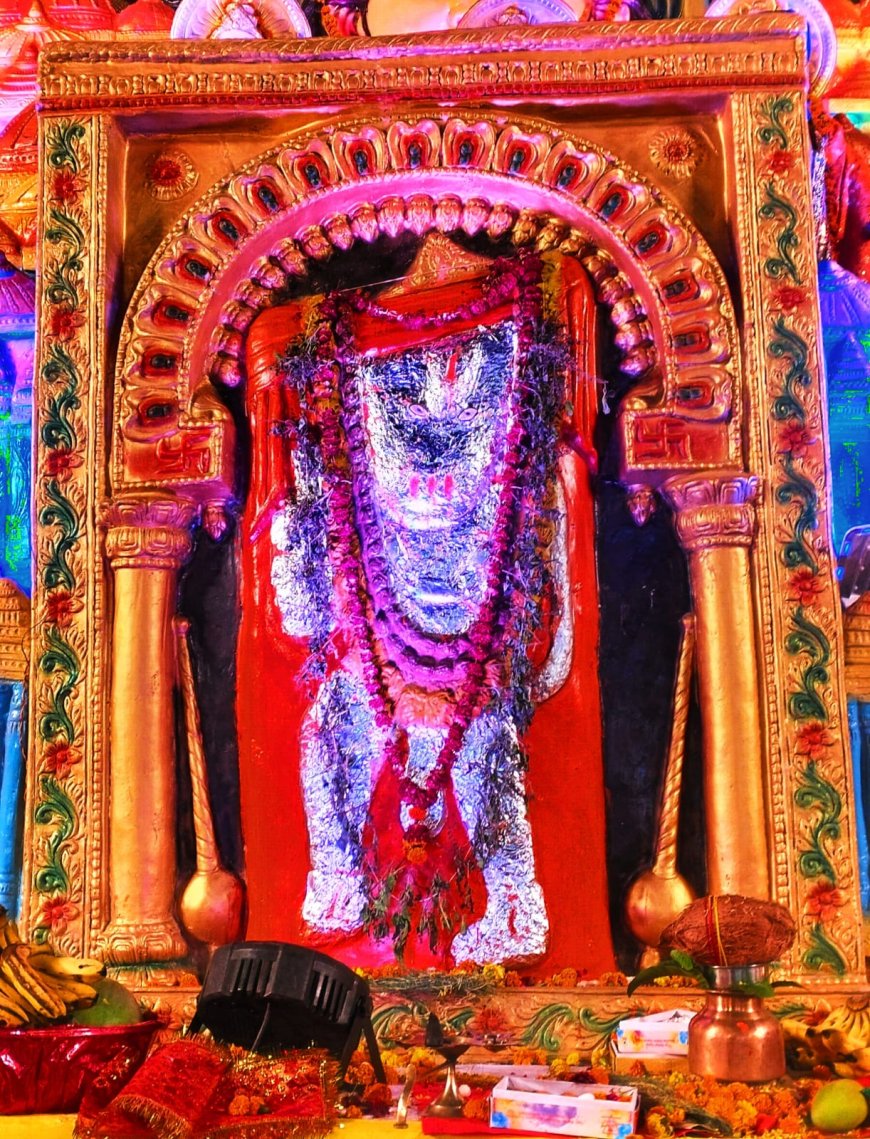 डालीगंज में निकली भव्य शोभायात्रा रात भर हुआ श्री बालाजी महाराज का 15वां भव्य जागरण