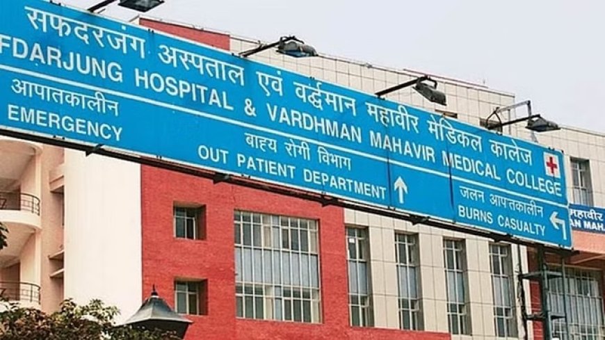 दिल्ली में तांडव मचा रही जानलेवा गर्मी, सफदरजंग में 24 घंटे में हीट स्ट्रोक से 11 की मौत