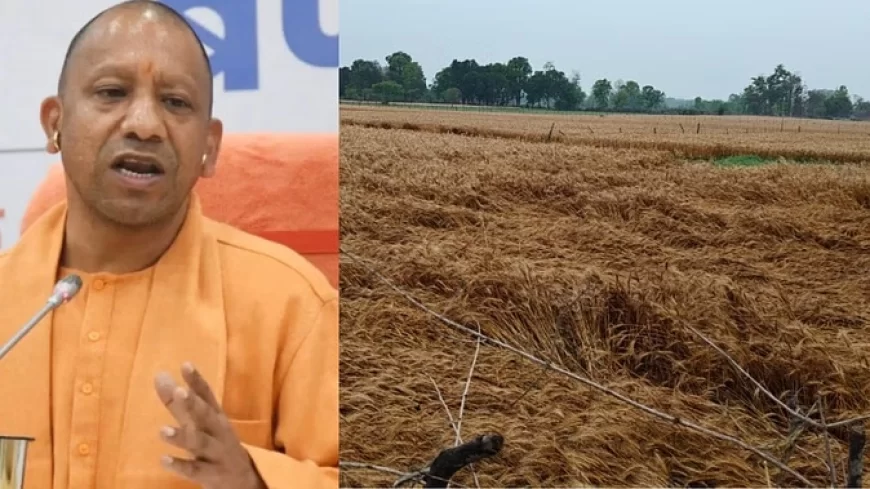 यूपी: पूरे प्रदेश में आंधी, बारिश और ओलावृष्टि, सीएम ने दिए जिलाधिकारियों को भ्रमण और सर्वे के निर्देश