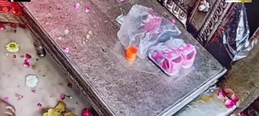 मथुरा: राधावल्लभ मंदिर के गर्भगृह में क्यों रखे जूते...वीडियो हुआ वायरल, सेवायत ने दी ये सफाई
