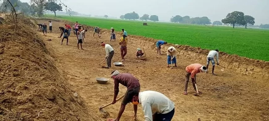 मनरेगा योजना में सुधार की जरूरत, संसदीय समिति ने की स्वतंत्र सर्वेक्षण कराने की सिफारिश