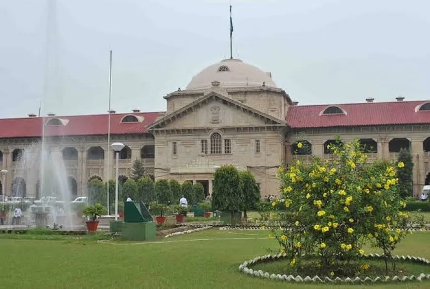 'सिर्फ भागकर शादी करने के आधार पर सुरक्षा नहीं दी जा सकती', हाईकोर्ट ने कहा- समाज का सामना करना सीखना होगा