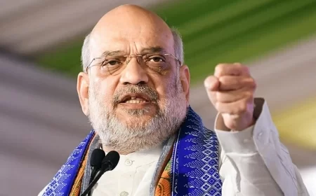 'पाकिस्तान की गोली का जवाब BSF ने गोले से दिया', अमित शाह ने 'ऑपरेशन सिंदूर' को जमकर सराहा