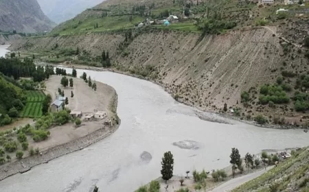 'पाकिस्तान ने किया सिंधु जल संधि के सिद्धांतों का उल्लंघन', विदेश मंत्रालय ने संसदीय समिति को दी जानकारी
