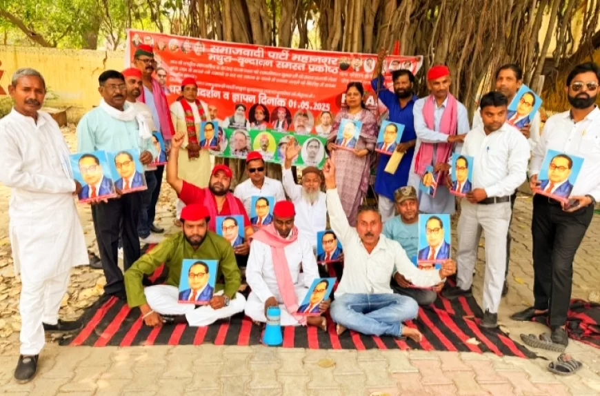 रामजीलाल सुमन पर करणी सेवा के हमले को लेकर समाजवादियों ने धरना प्रदर्शन किया