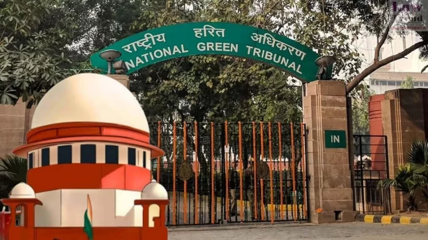 सुप्रीम कोर्ट के कठोर निर्देशों के बाद वृंदावन वृक्ष कटान याचिका NGT ने की निस्तारित