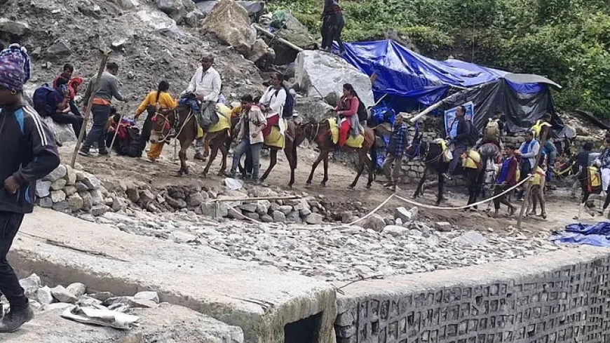 केदारनाथ यात्रा: अजीब बीमारी से हड़कंप... घोड़े-खच्चरों के संचालन पर 24 घंटे की रोक, 14 पशुओं की संदिग्ध मौत
