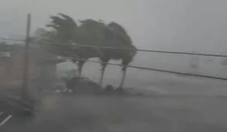 गुजरात में आंधी-बारिश का कहर, पेड़ गिरे, मकान ढहे, 14 लोगों की मौत; मौसम विभाग ने जारी किया अलर्ट