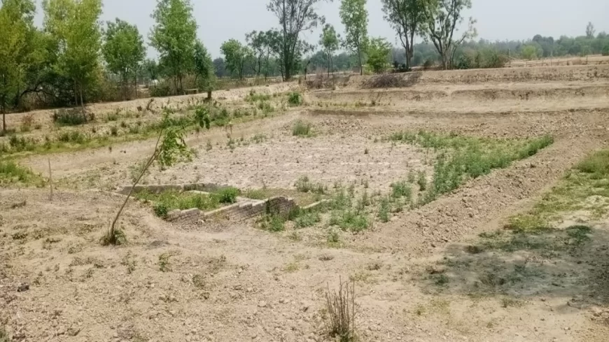 सूखे पड़े अमृत सरोवर/तालाब, पानी की तलाश में भटक रहे बेजुबान, जिम्मेदार बने मूकदर्शक