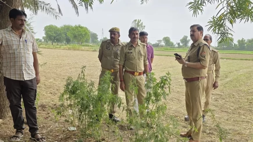 बरसाना में हनुमान मंदिर के पुजारी की धारदार हथियार से हत्या, इलाके में फैली सनसनी