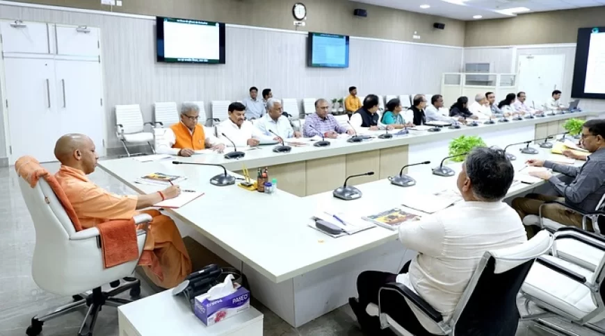 जुलाई में 35 करोड़ पौधों की होगी रोपाई, नर्सरी में तैयार होंगे 50 करोड़ पौधे