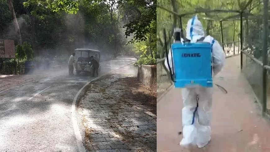 दो बाघिन समेत 12 वन्य जीवों पर बर्ड फ्लू का खतरा, चिड़ियाघर में अलर्ट जारी