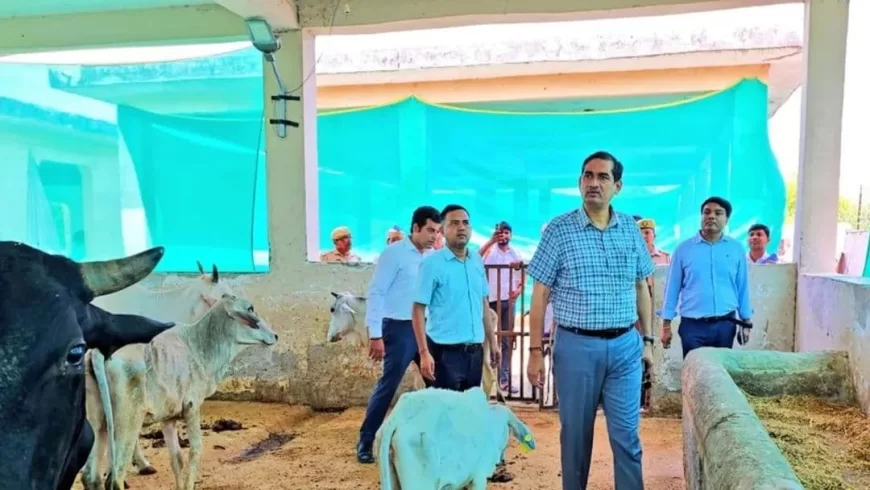 मथुरा में गौशालाओं पर डीएम की पैनी नजर, भूसे की खरीद फरोख्त में पकड़ी गड़बड़ी