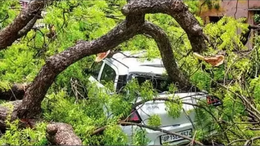 यूपी में आंधी-बारिश से तबाही, 51 लोगों की मौत, पेड़ उखड़े, खंभे गिरने से बिजली आपूर्ति प्रभावित