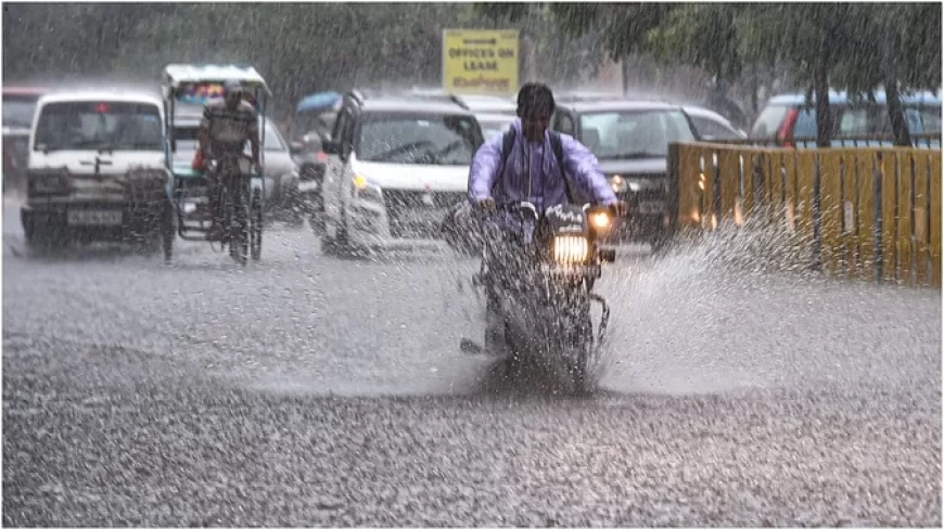 समय से 12 दिन पहले महाराष्ट्र पहुंचा मानसून; तीन दिन के अंदर मुंबई में देगा दस्तक