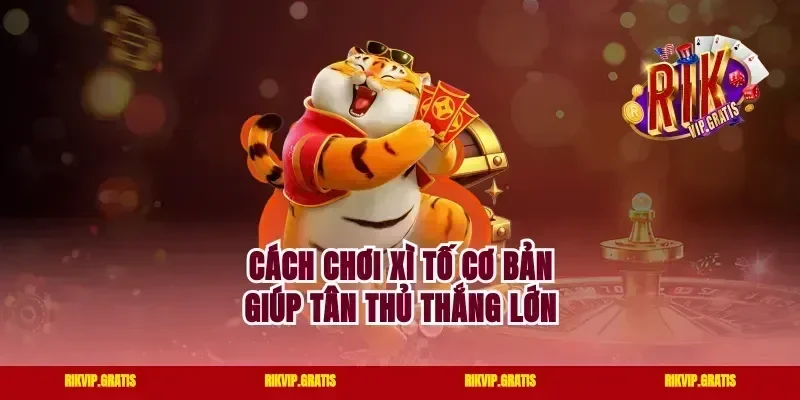 Cách chơi Xì tố cơ bản giúp tân thủ thắng lớn