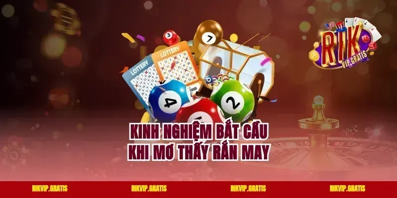 Kinh nghiệm bắt cầu khi mơ thấy rắn may