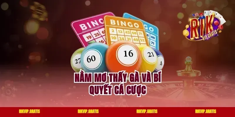 Nằm mơ thấy gà và bí quyết cá cược