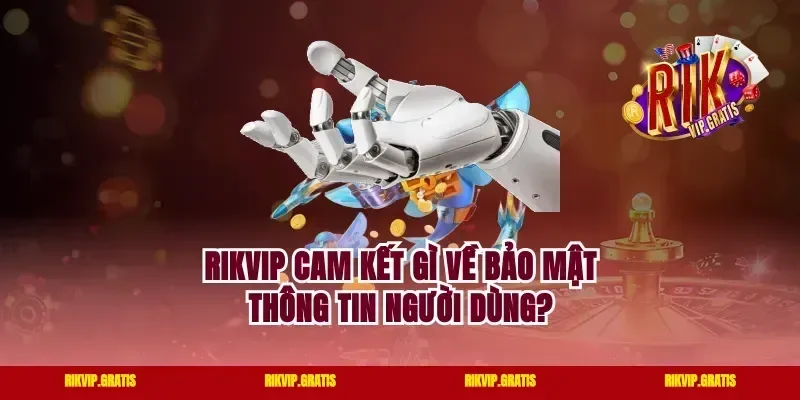 Rikvip Cam Kết Gì Về Bảo Mật Thông Tin Người Dùng?